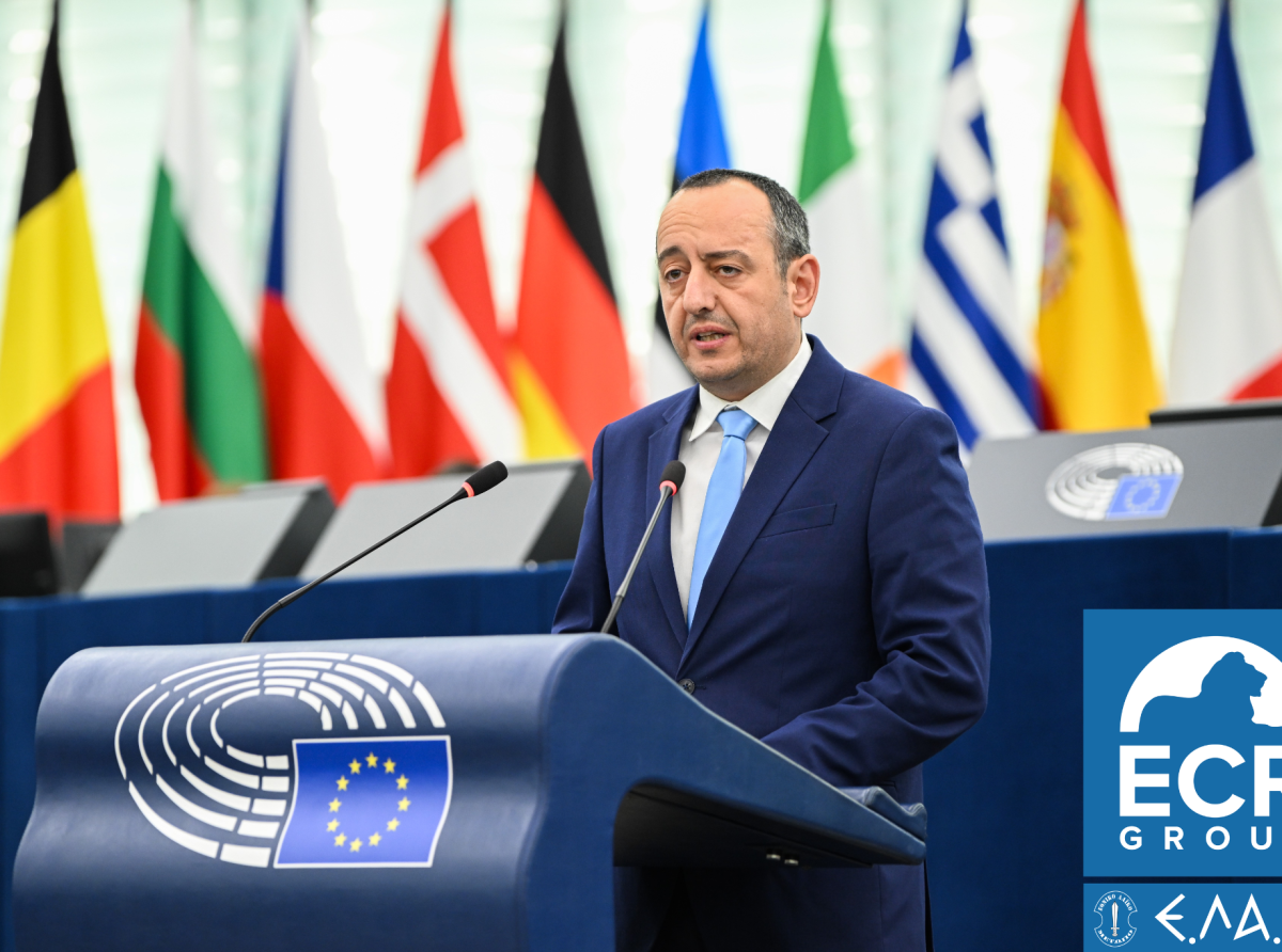 AfD: Καταδικάζει την τουρκική κατοχή και αποστασιοποιείται από την επίσκεψη Krah στα κατεχόμενα